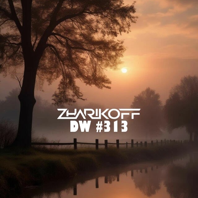 DJ Zharikoff - Deep Weekend #313 #313 episode artwork