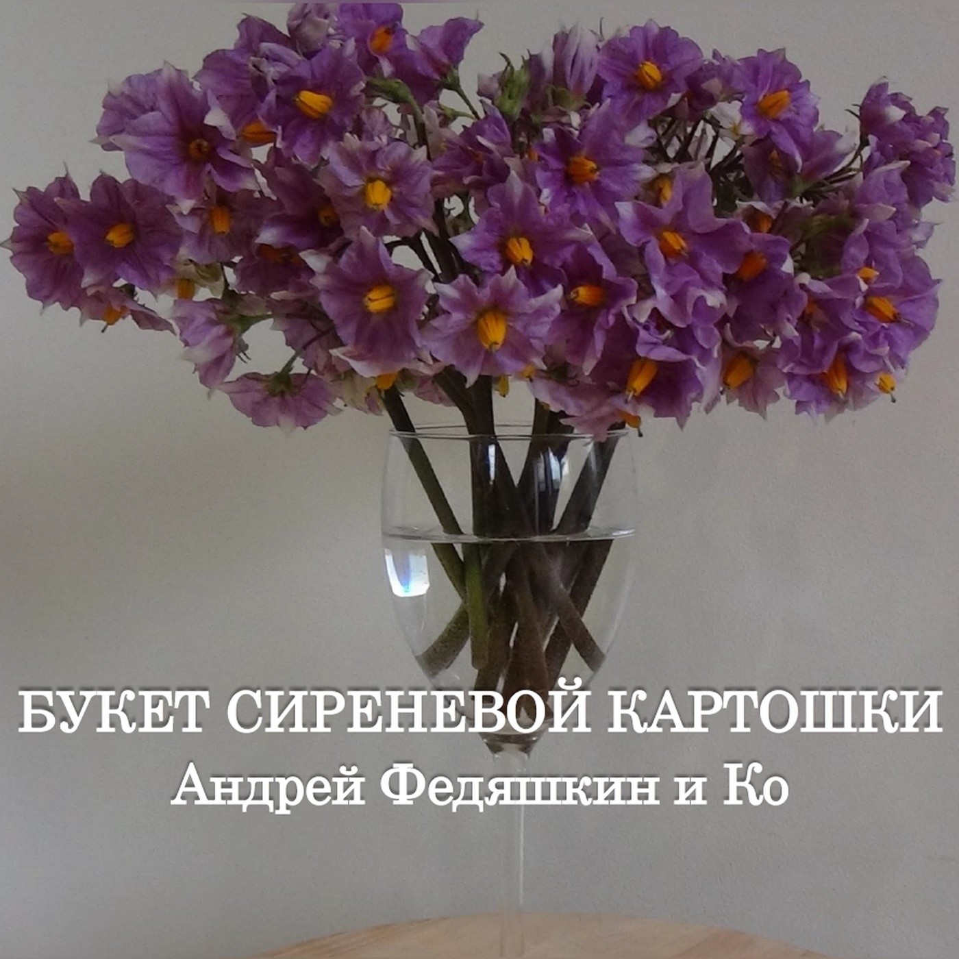 КАРТОФЕЛЬНАЯ СИРИНАДА