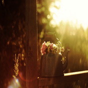 Small things (little step..) episode artwork