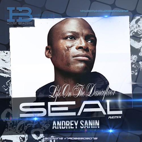 Seal - Life On The Dancefloor (Dj Andrey Sanin RMX) episode artwork