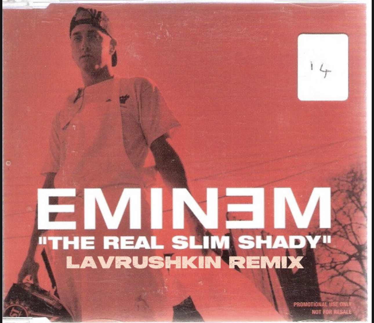 The real slim shady