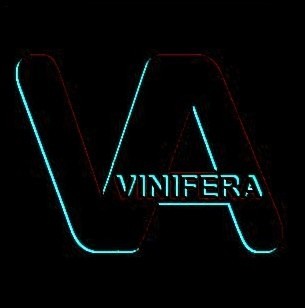 Vinifera - Promo Mix 2019 - podcast episode cover