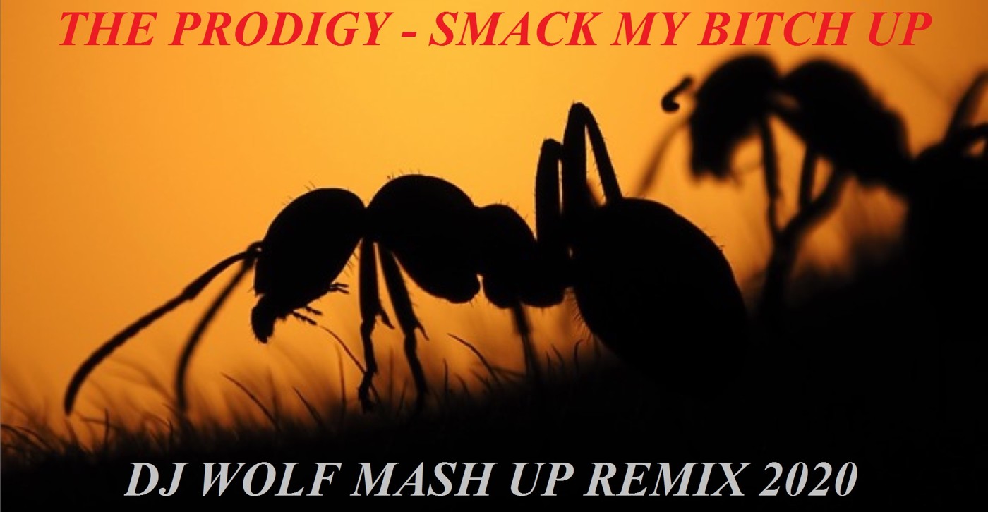THE PRODIGY FEAT. BLUE PEARL FEAT. EUGENE STAR & MALDRIX - SMACK MY BITCH UP ( DJ WOLF MASH UP REMIX 2020 ) episode artwork