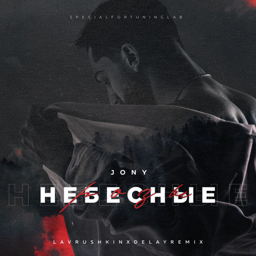 cover of episode JONY - Небесные розы (Lavrushkin & Delay Remix)