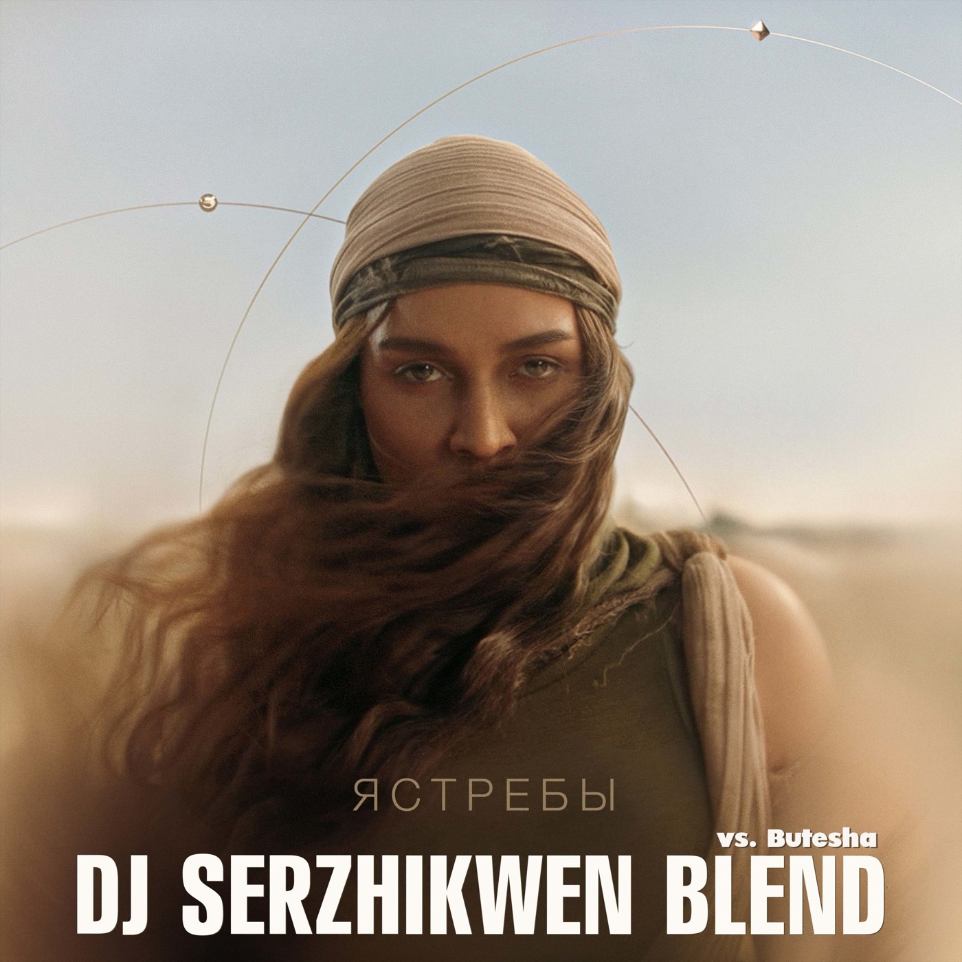 Bearwolf x Butesha - Ястребы (Dj Serzhikwen Blend) episode artwork