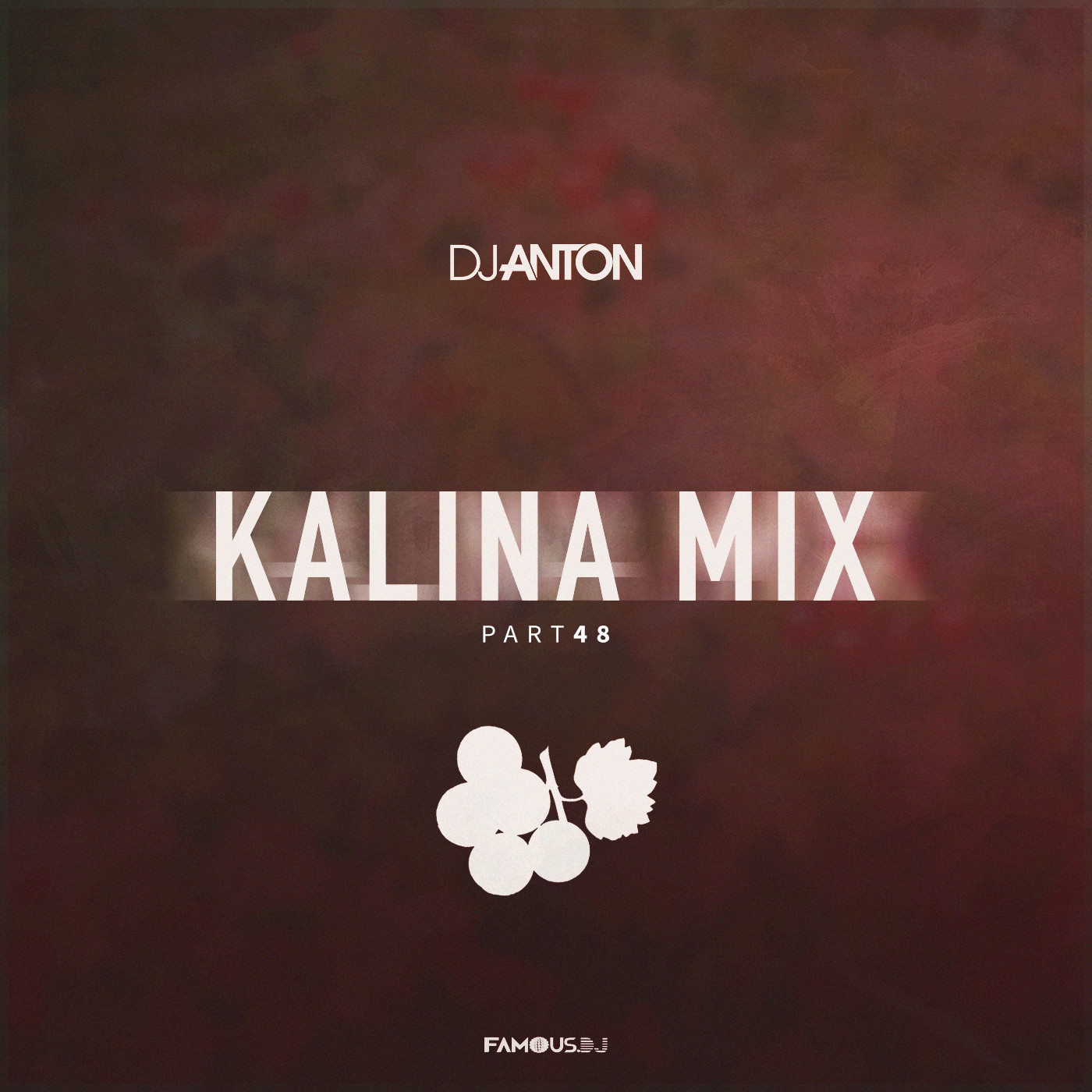 DJ ANTON - KALINA MIX (PART 48) episode artwork