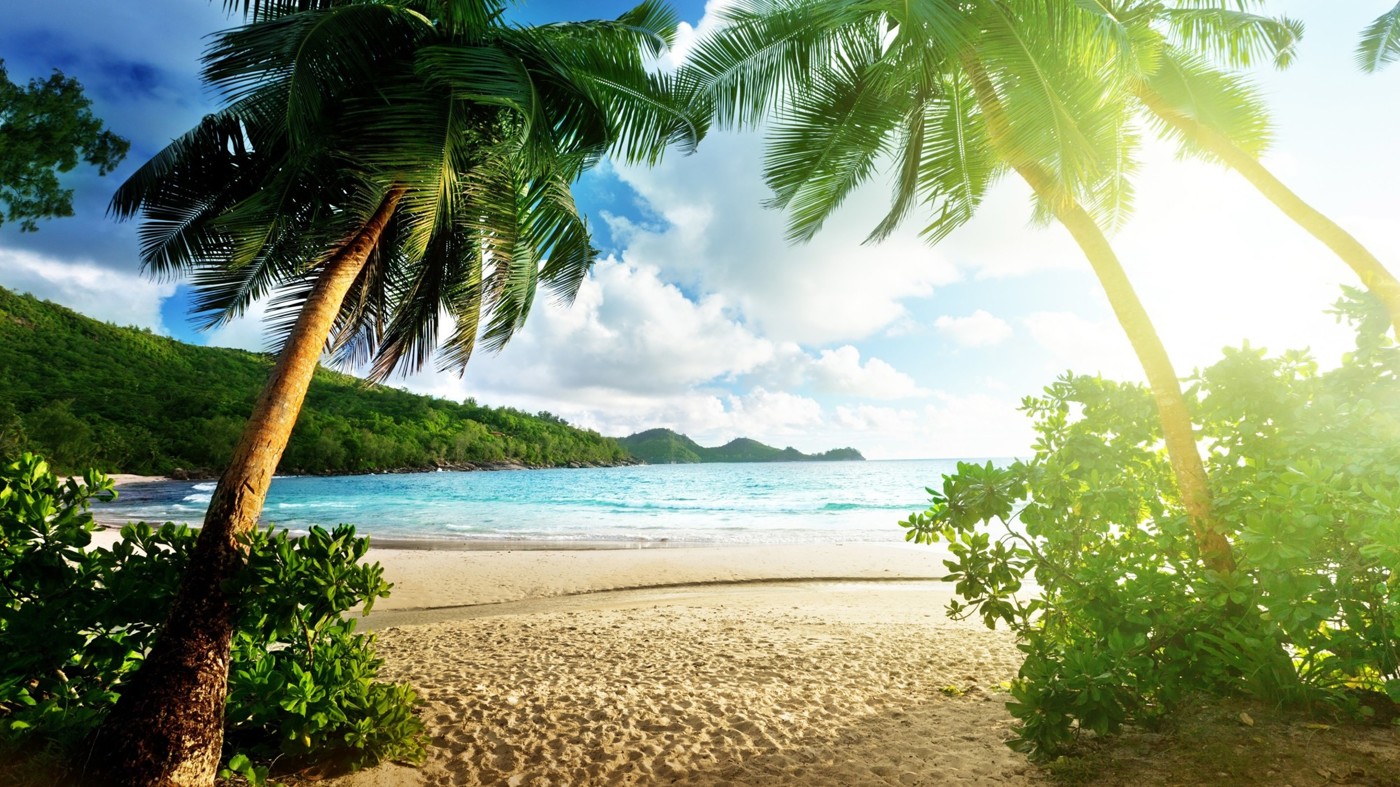 Vadim van Vodkin - Tropical House (Usach Tutorial) episode artwork