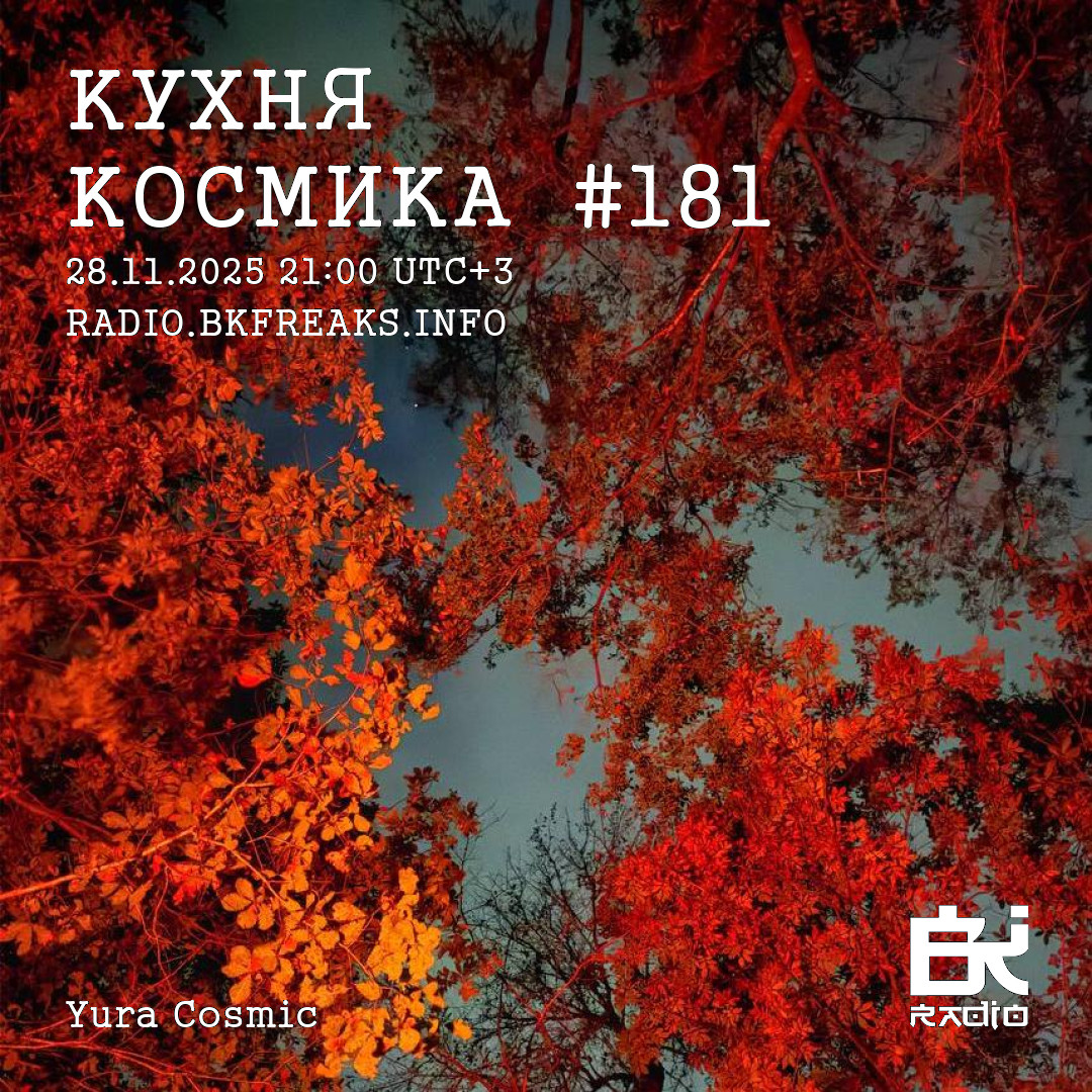 Dj Cosmic - Kukhnya Kosmika 181 mix 28.11.2025