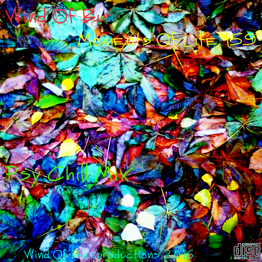 Wind Of Buri - Moments Of Life 159 (Psy Chill Mix) episode artwork