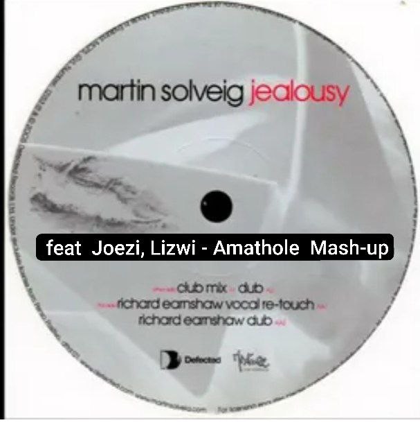 Martin Solveig - Jealousy  feat  Joezi, Lizwi - Amathole  Mash-up