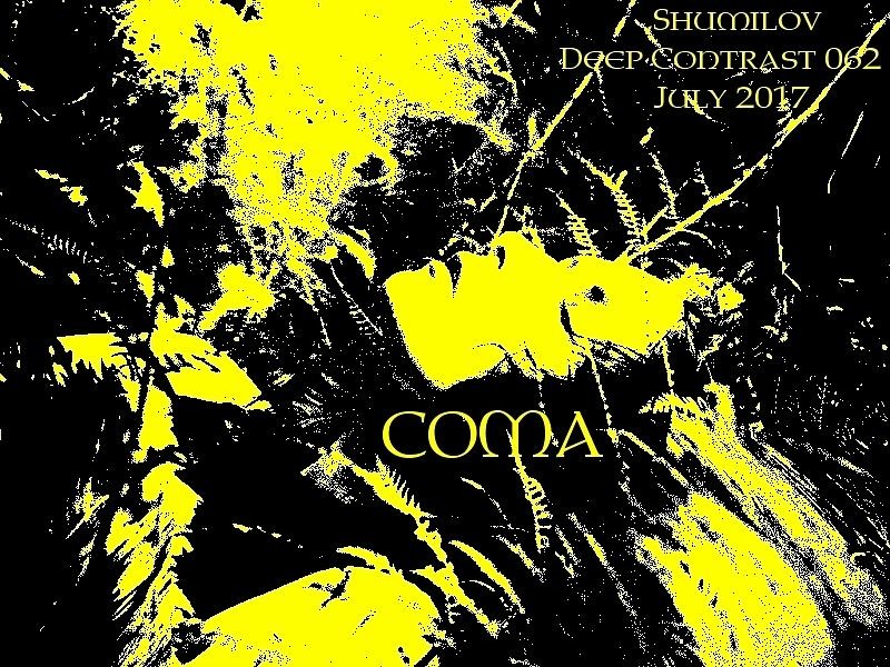 Shumilov - Deep Contrast 062 Coma [July 2017] episode artwork