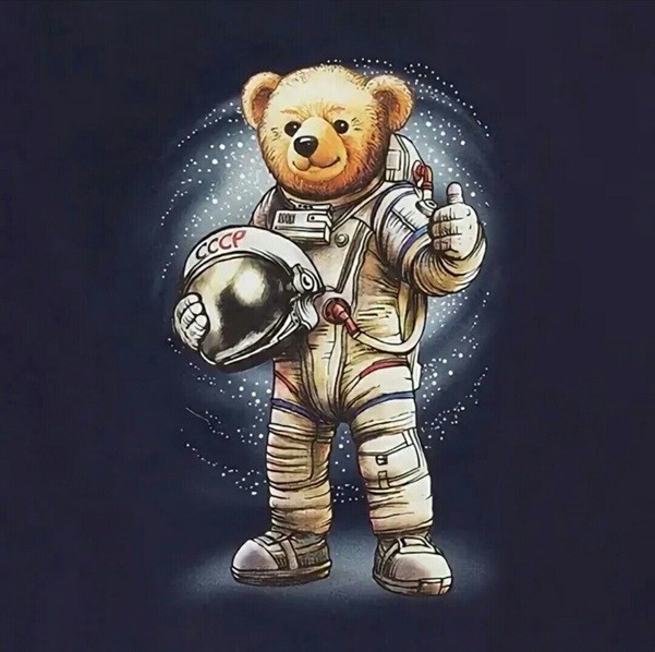 Маша и медведь космонавты. Мишка космонавт. Медведь в космосе. Мишка в космосе. Медведь в скафандре.
