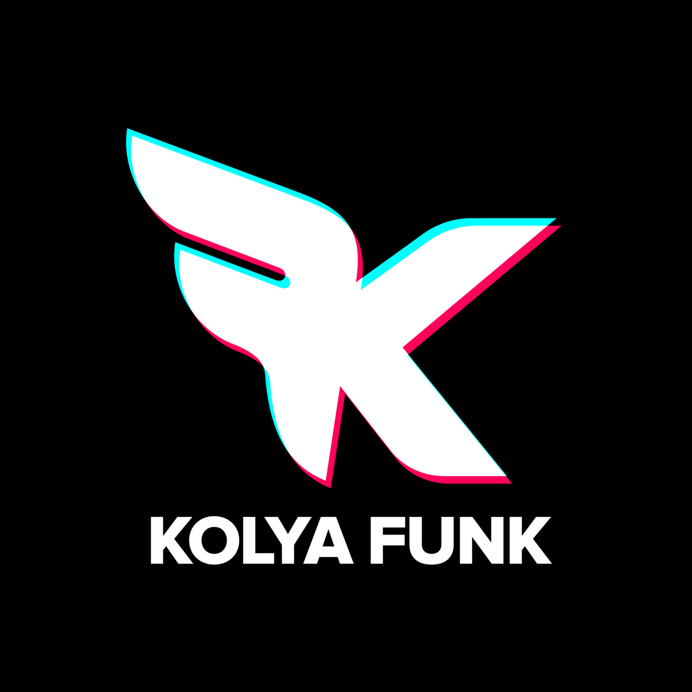 DJ KOLYA FUNK
