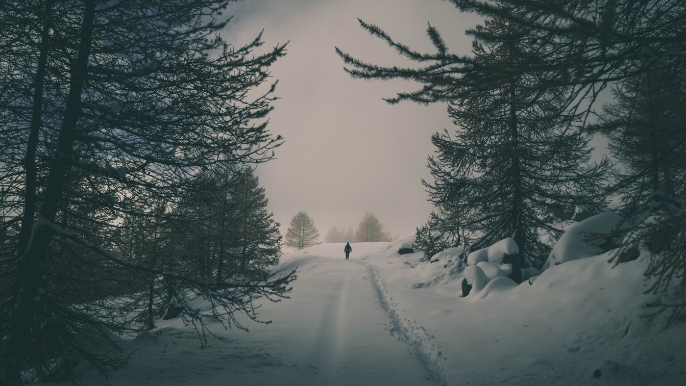 Fairy Tale #8 Fairy Tale #8