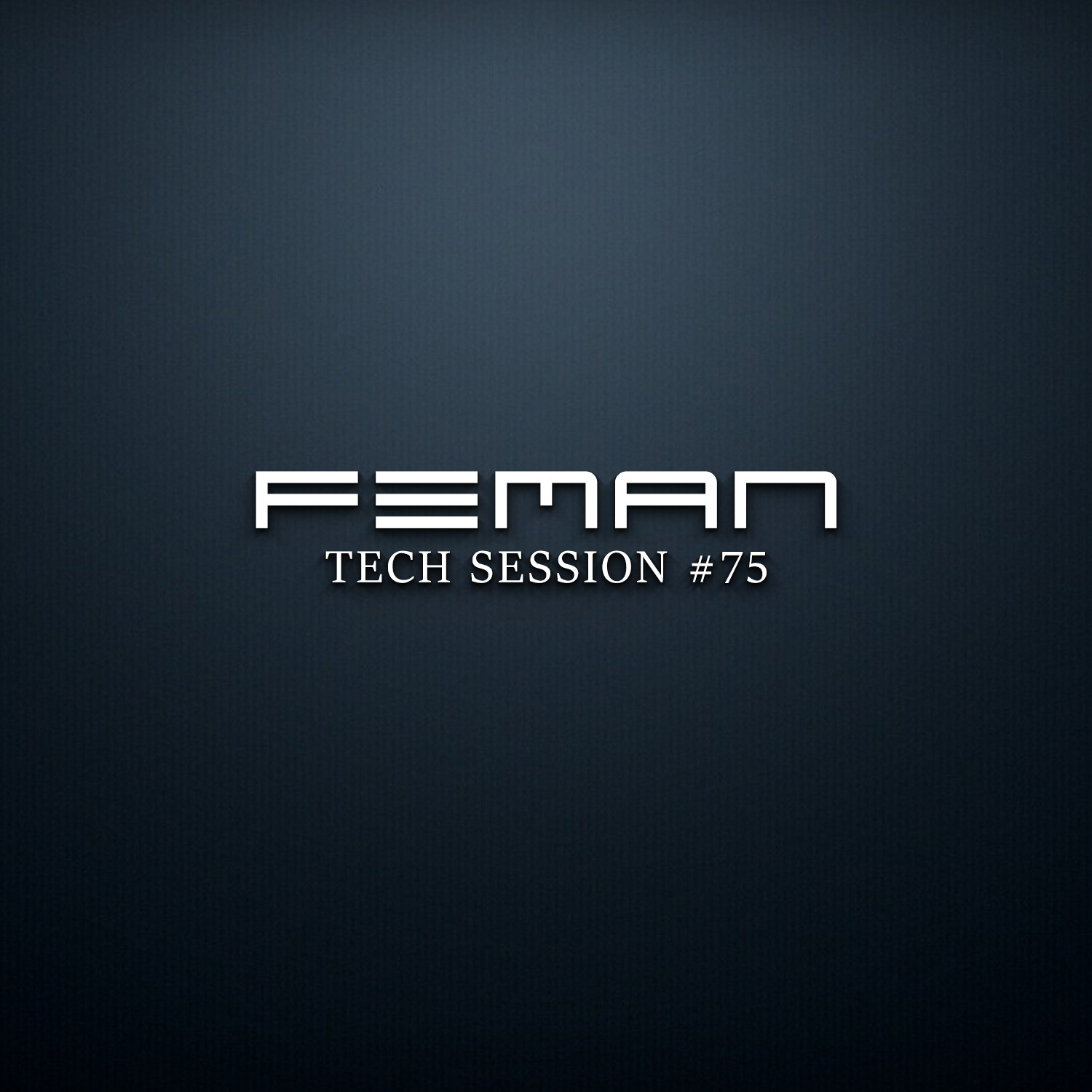 FEMAN