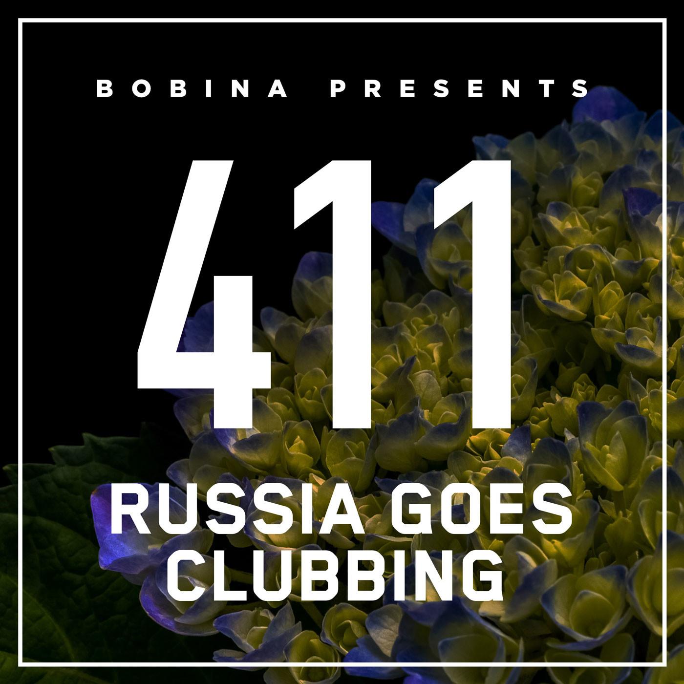 Nr. 411 Russia Goes Clubbing (Rus)