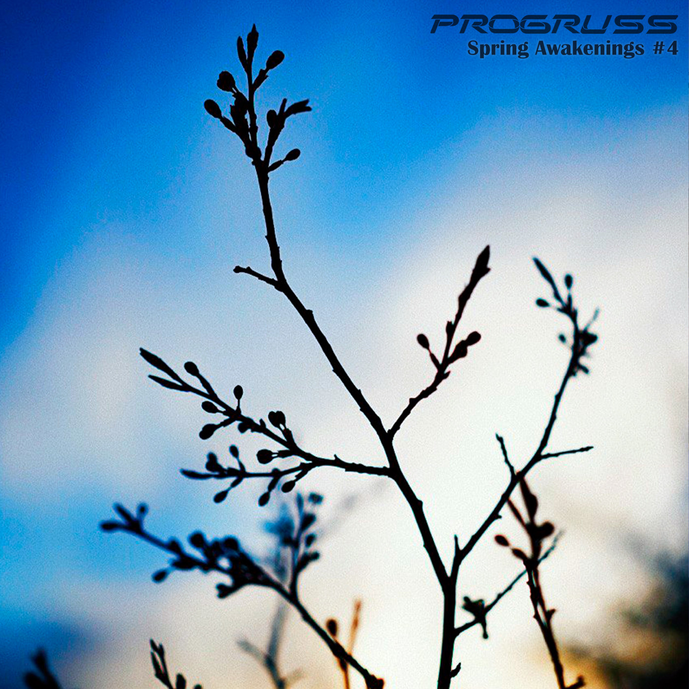 Progressive House | Melodic Techno