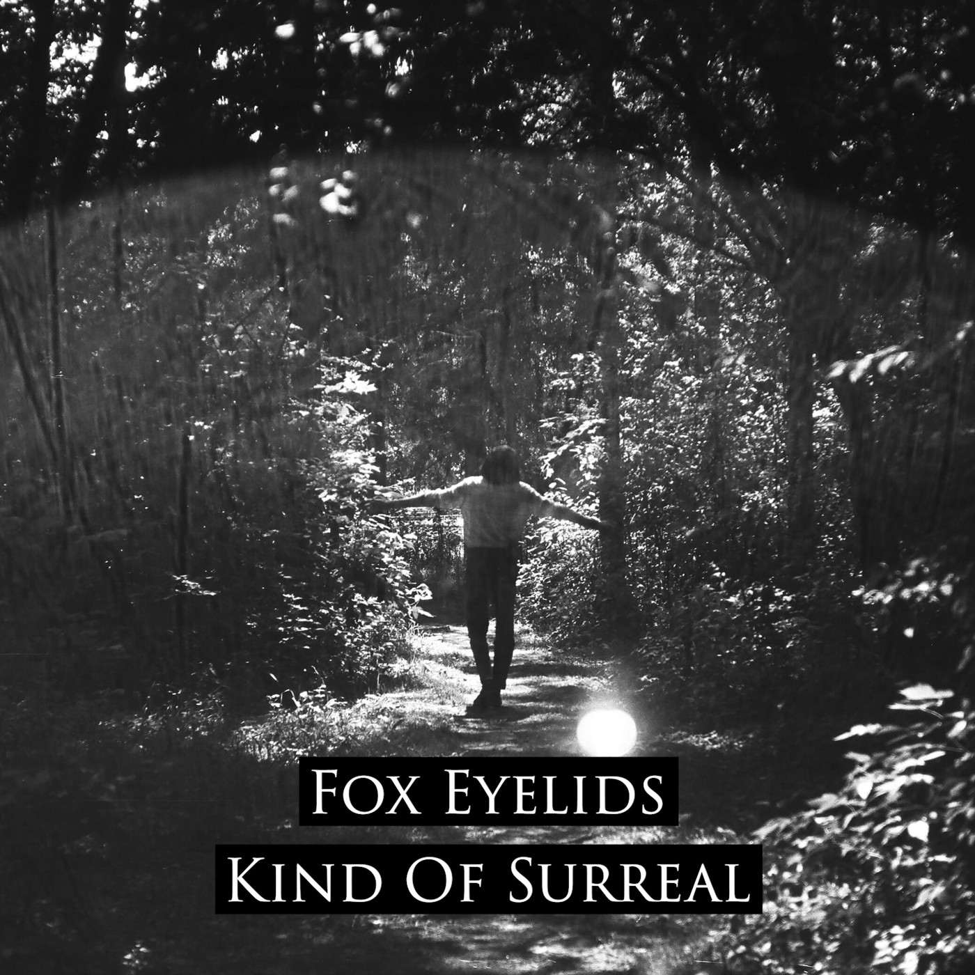 Fox Eyelids - Sunday