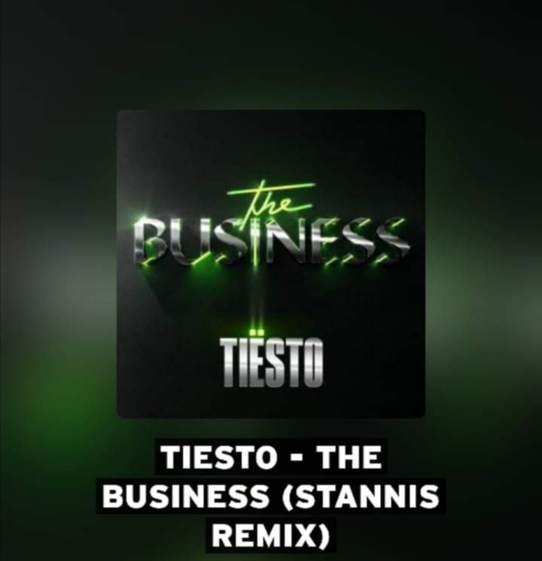 TIESTO - The Business (STANNiS Remix)