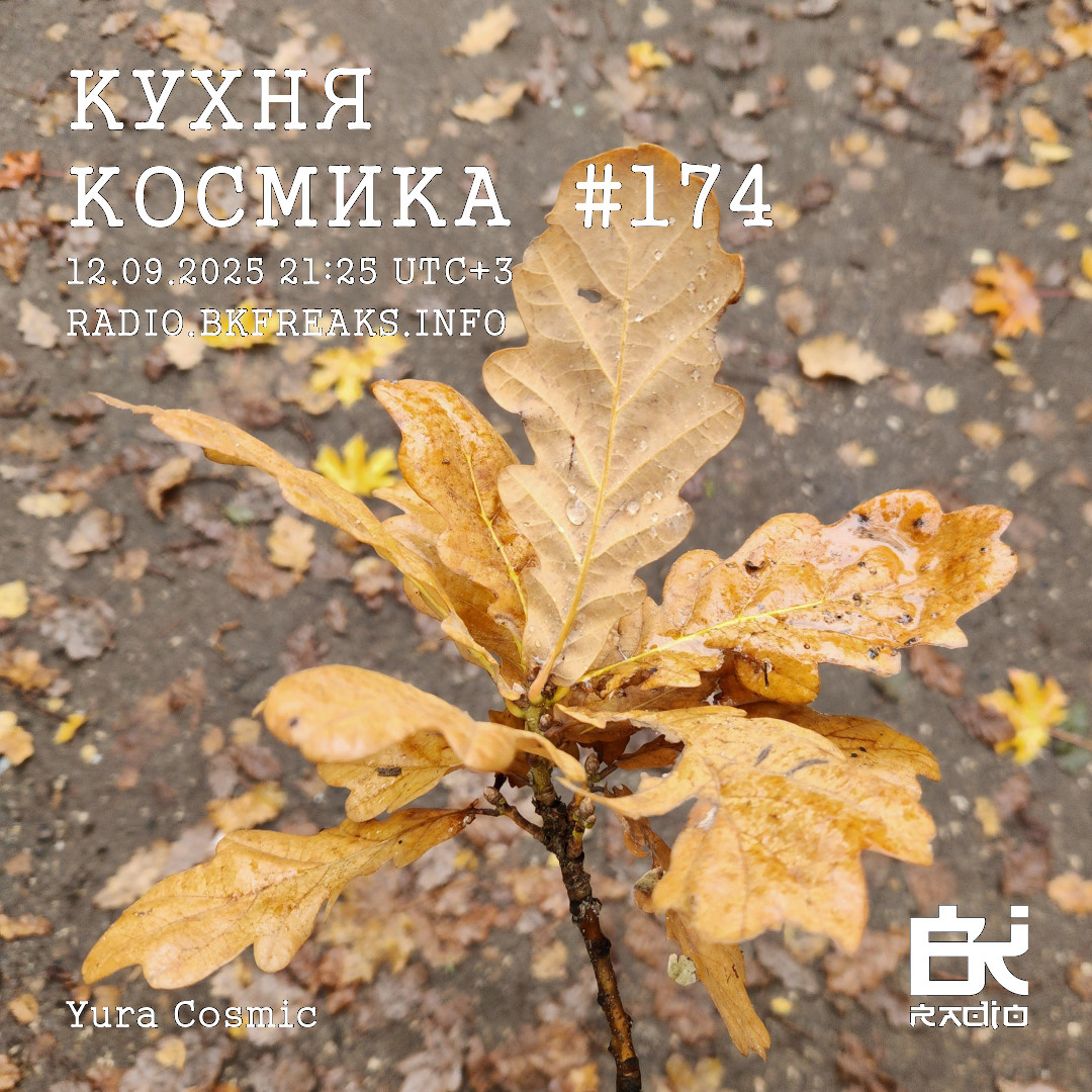 Dj Cosmic - Kukhnya Kosmika 177 mix 17.10.2025