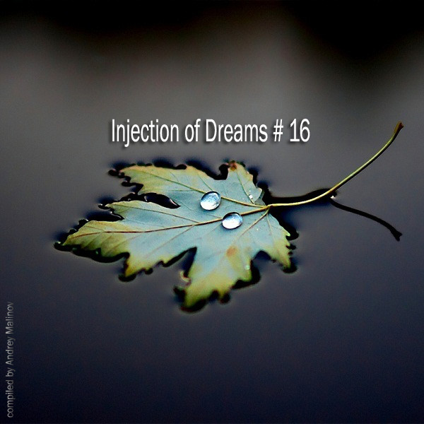 Andrey Malinov - Injection of Dreams # 16