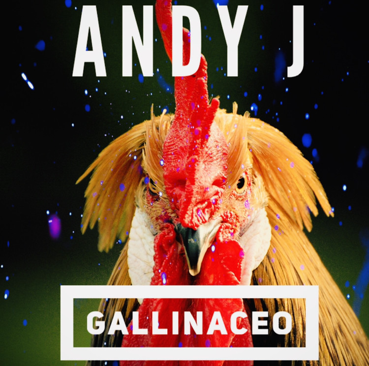 Andy J - Gallinaceo Andy J - Gallinaceo