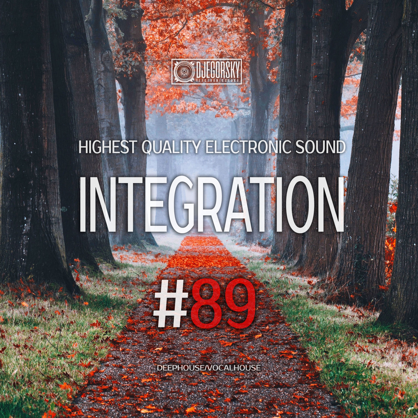 DJ Egorsky - Integration#89 (2024) episode artwork