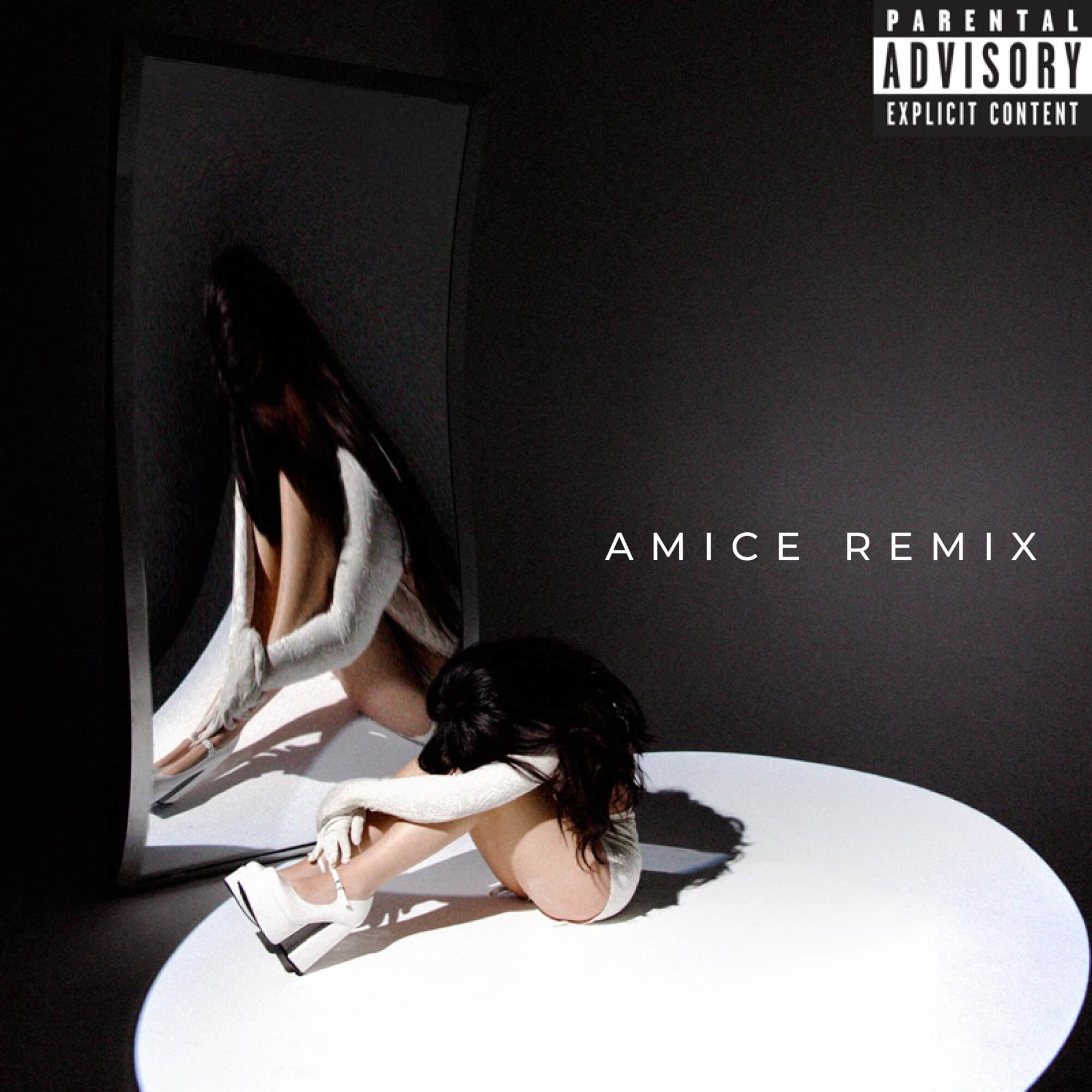 Nessa Barrett dying on the inside (Amice Remix) DJ AMICE