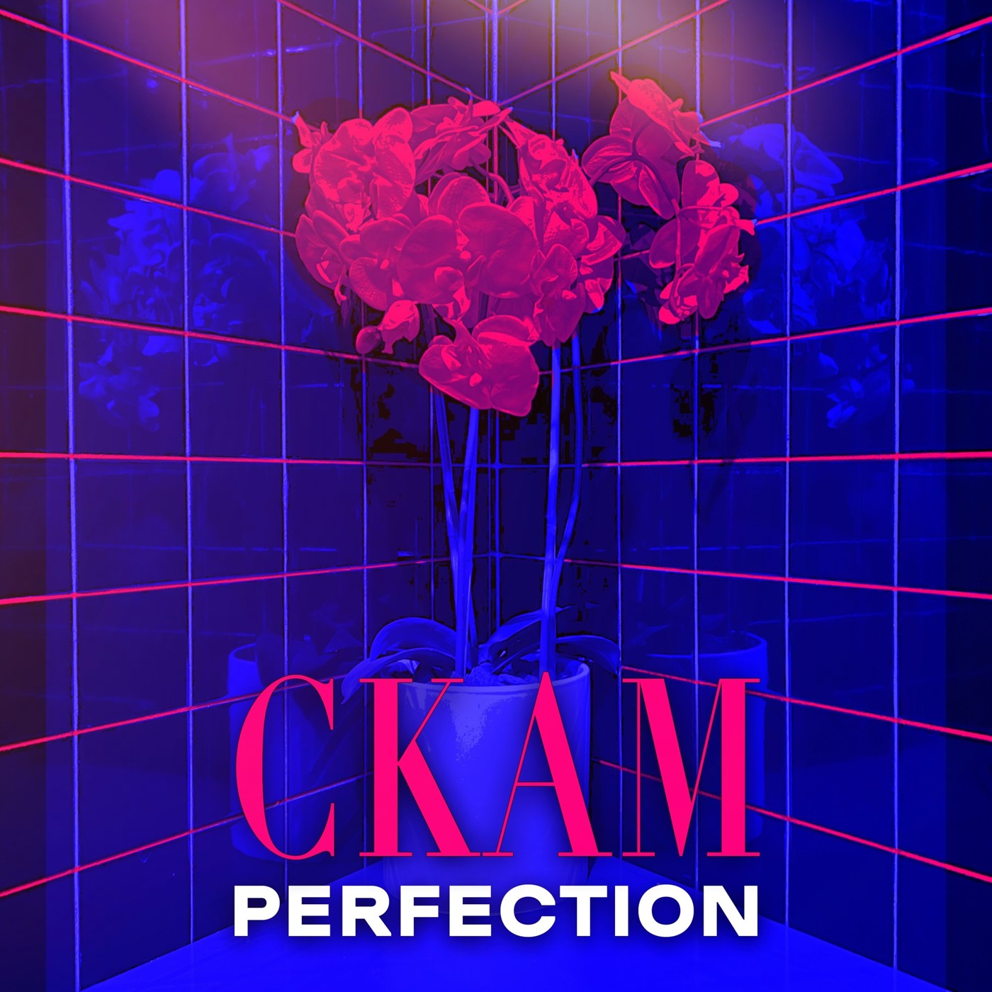 CKAM - Perfection (demo version)