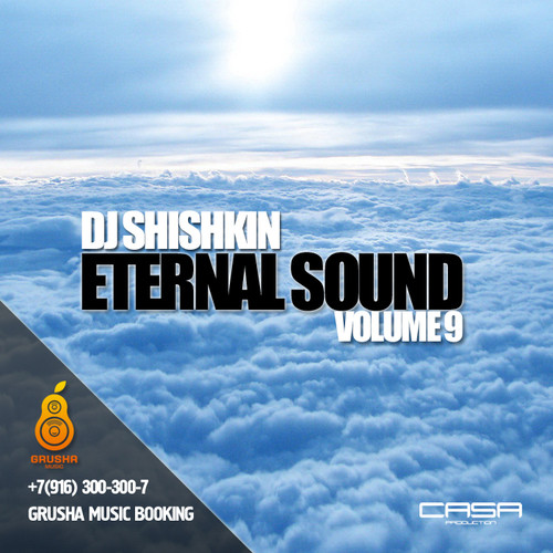 DJ Shishkin