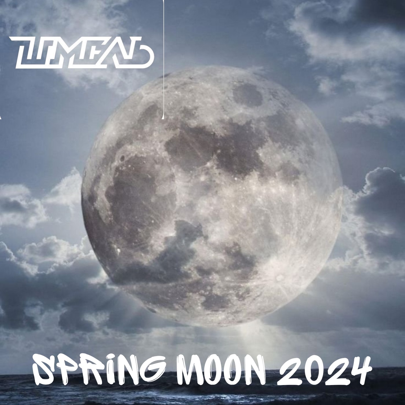 DJ ШМЕЛЬ - SPRING MOON 2024