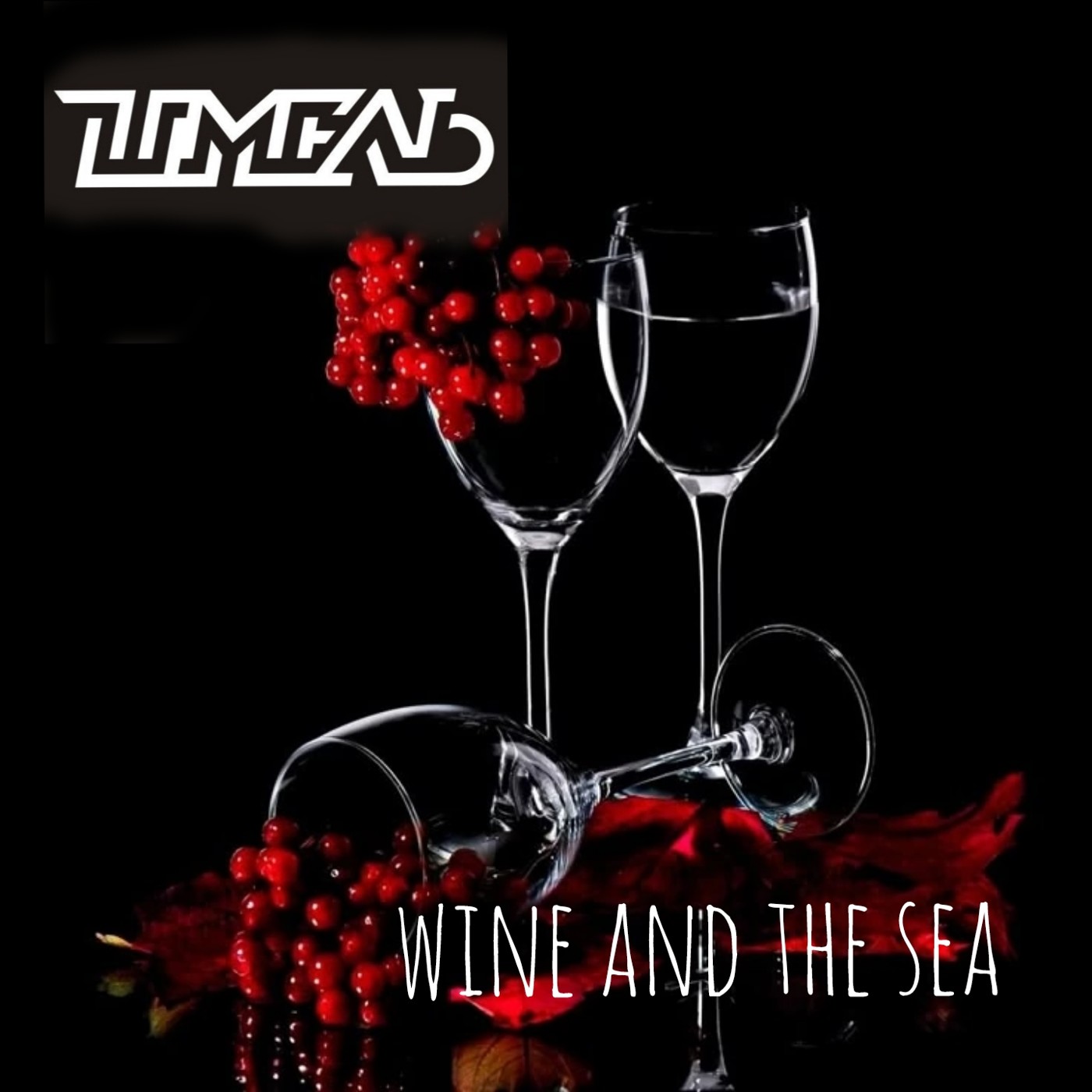 DJ Шмель - Wine and Sea