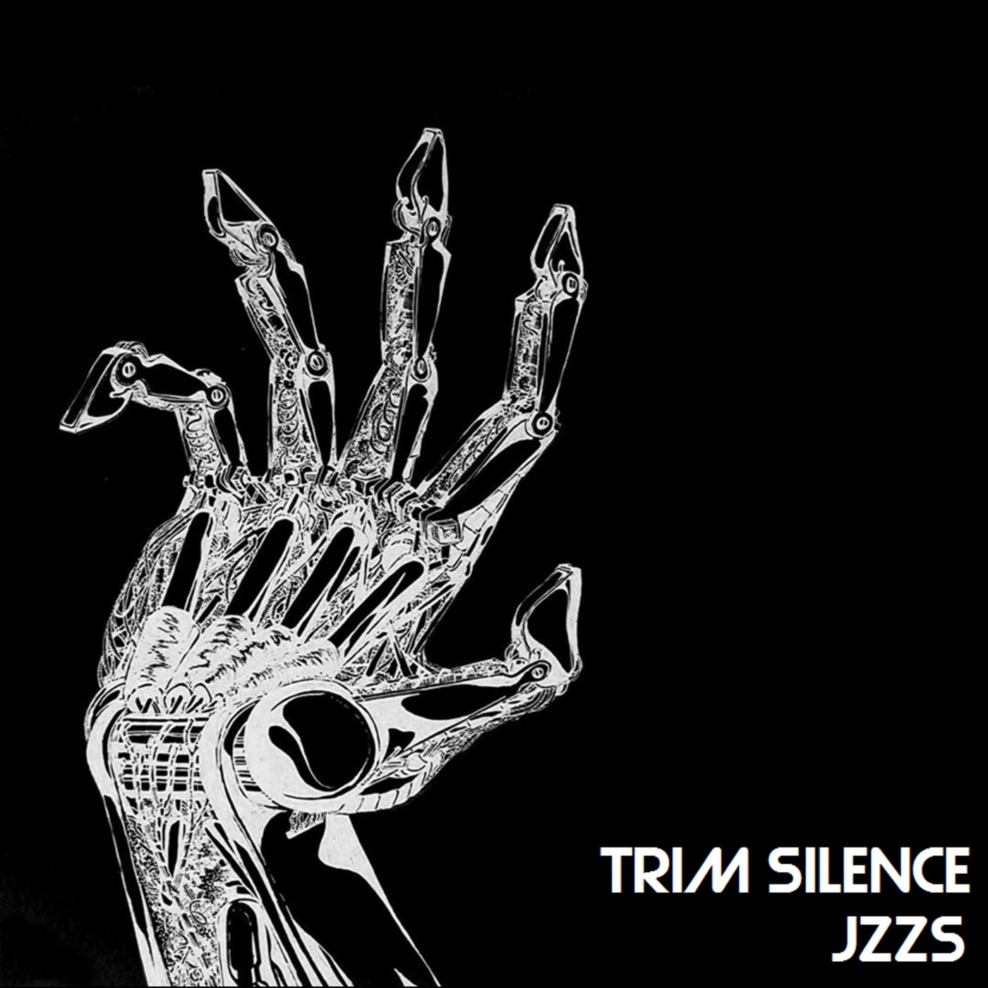 Trim Silence - JZZS (Instrumental)