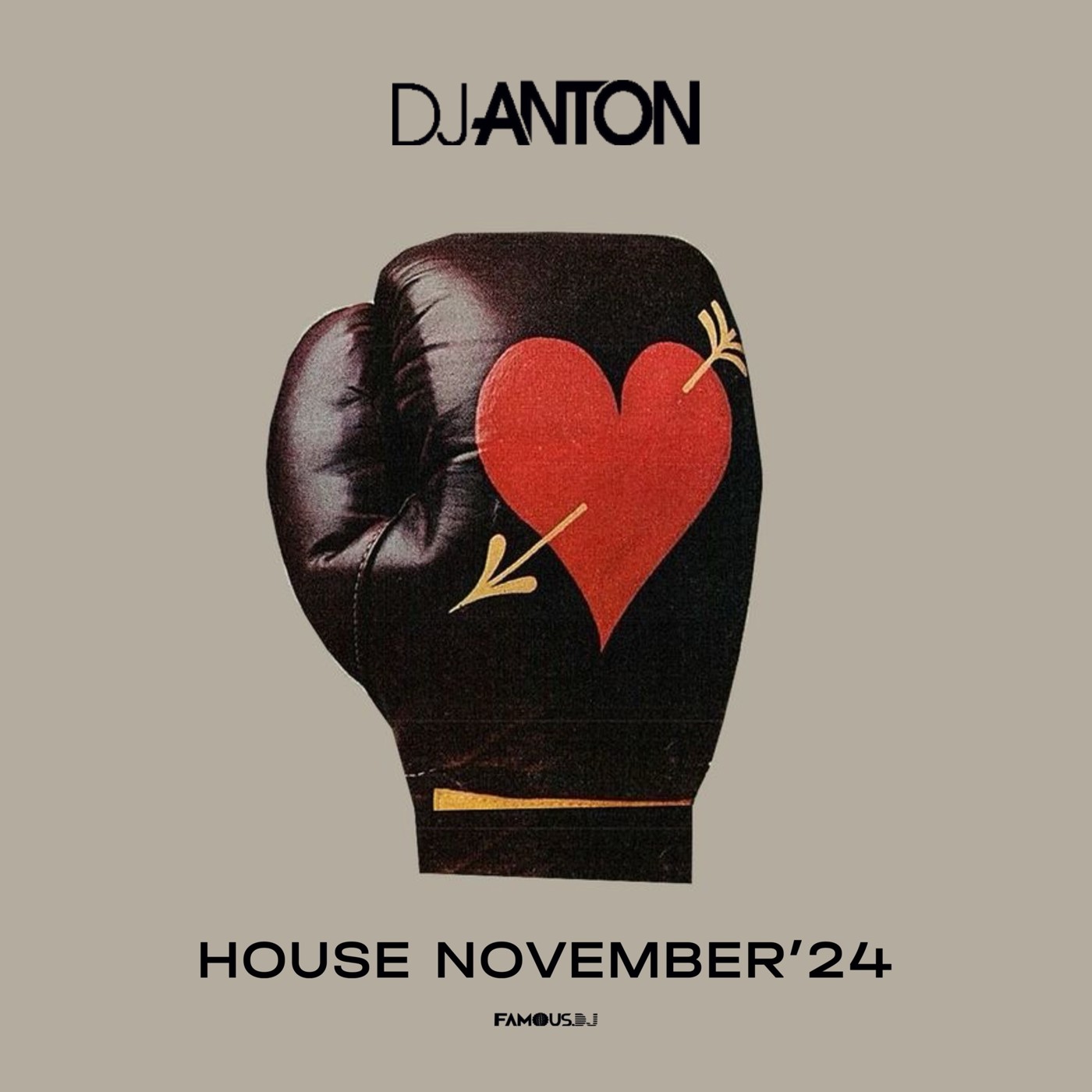 DJ ANTON - NOVEMBER 2024 (HOUSE)