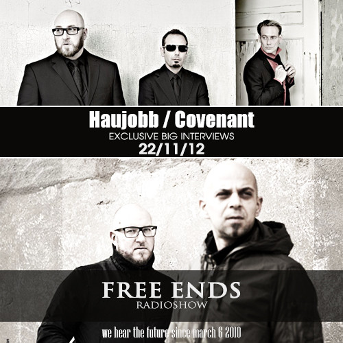 Multistyle Show Free Ends 134 - Synthetic Snow (Haujobb, Covenant) episode artwork