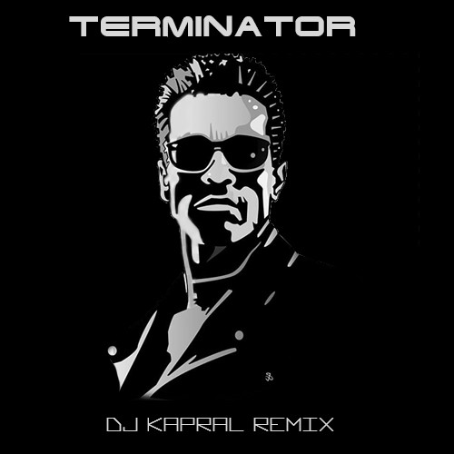 Dj Kapral - Terminator (Remix) episode artwork