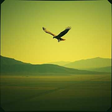 Работайте, братья (в память о герое)