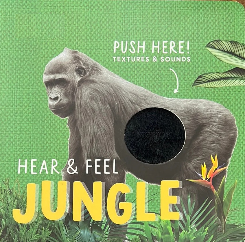 HEAR & FEEL JUNGLE