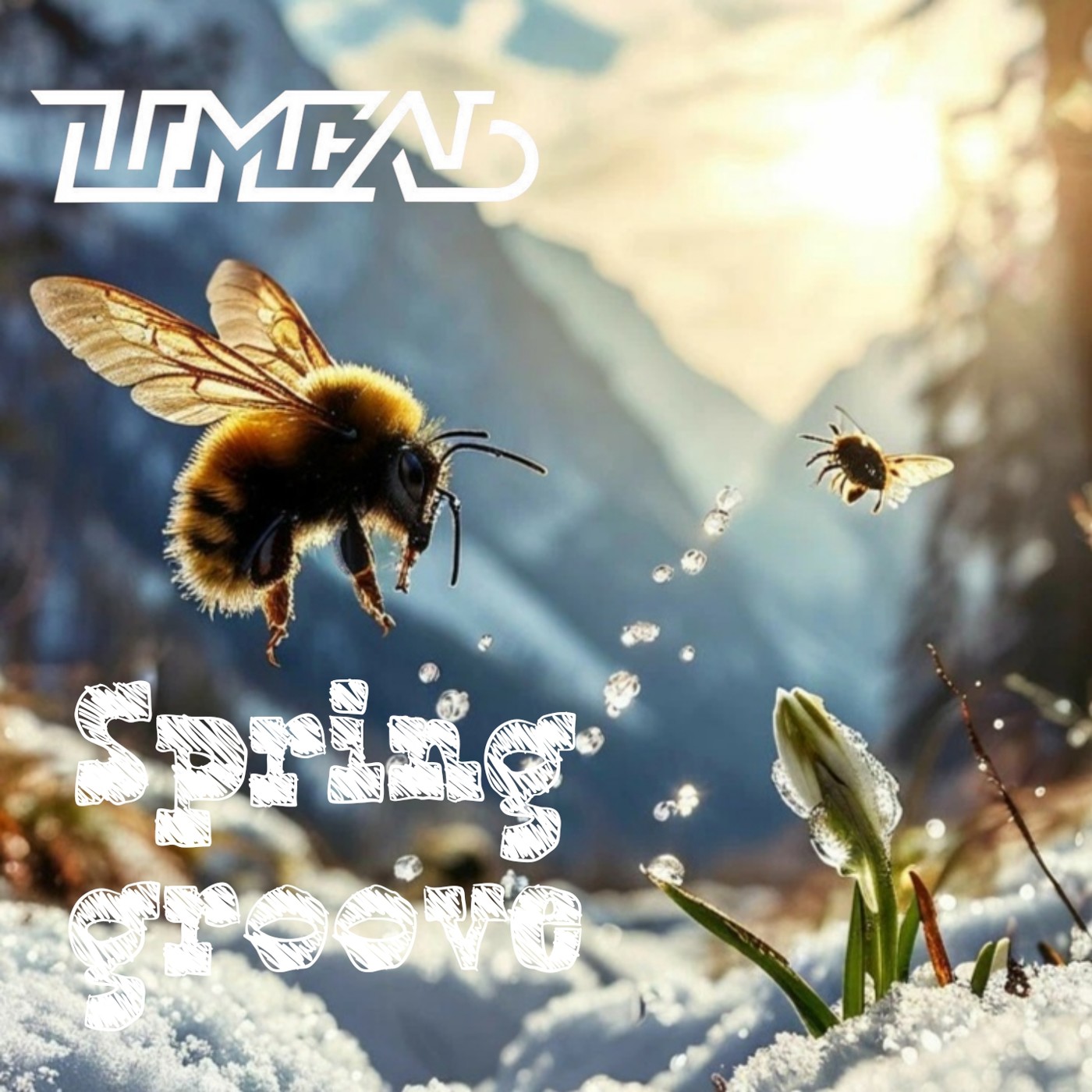 DJ Шмель-Spring Groove episode artwork