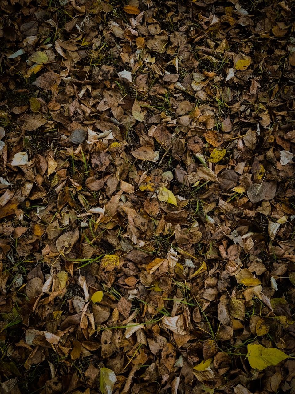 Progressive House | Melodic Techno