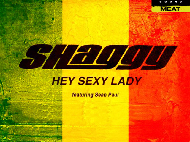 Shaggy Sexy Lady Skachat