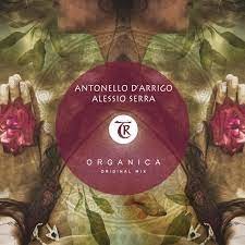 Antonello D'Arrigo & Alessio Serra  -  Organica(AnT Edit) episode artwork