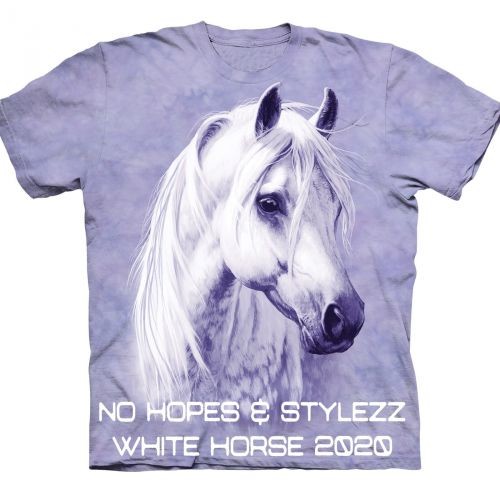 No Hopes , Stylezz - White Horse 2020 (Extended Mix)