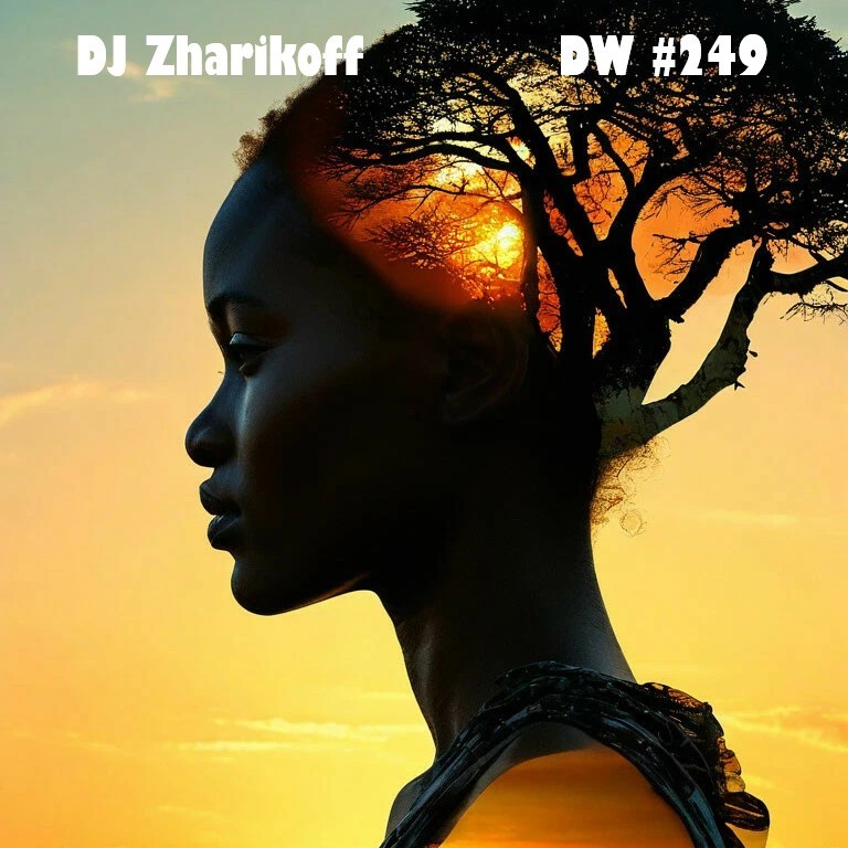 DJ Zharikoff - Deep Weekend #249 #249