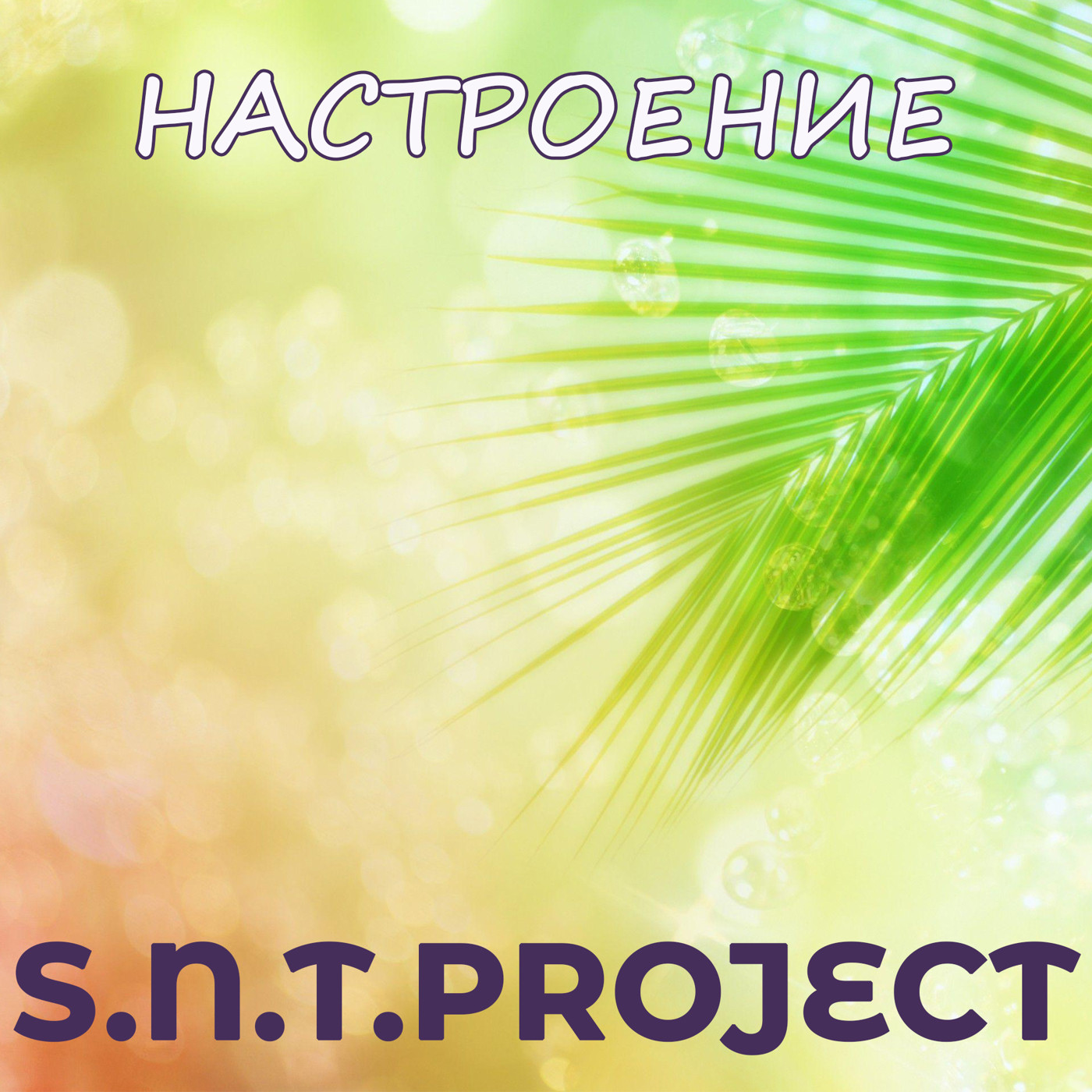 S.N.T.Project - Настроение