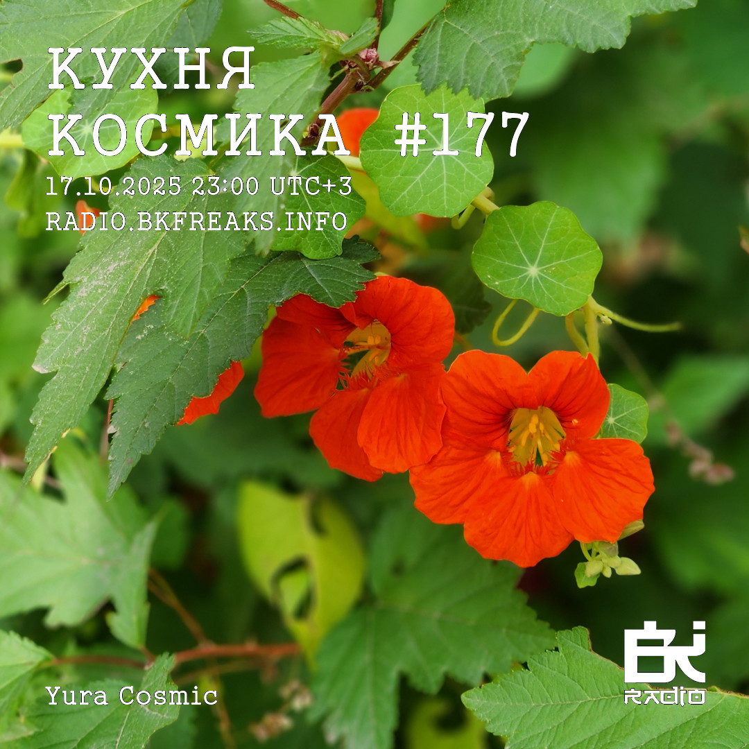 Dj Cosmic - Kukhnya Kosmika 177 mix 17.10.2025