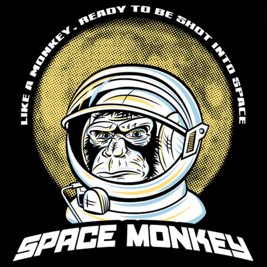 Space monkey. Обезьяна космонавт. Обезьянка астронавт Бойцовский клуб. Мартышка космонавт Бойцовский клуб. Space Mone.