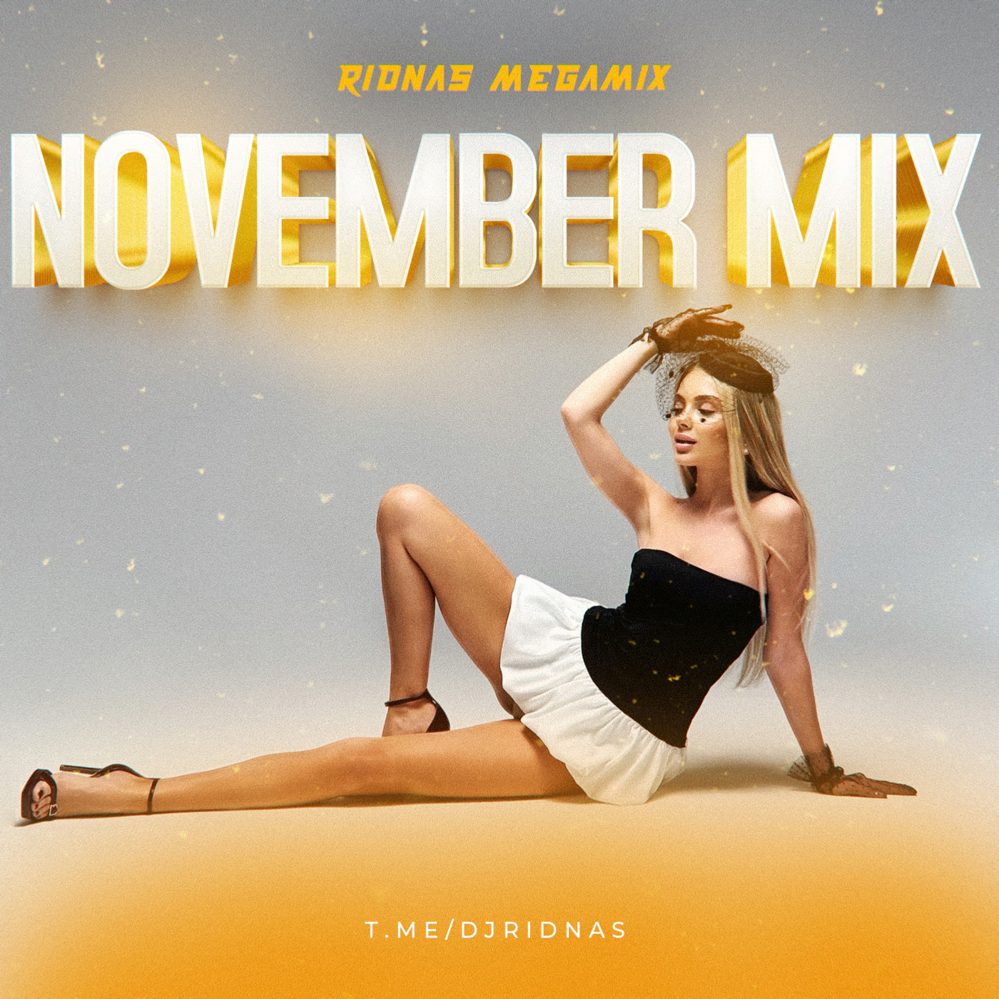 RIDNAS - NOVEMBER MIX