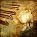 Zoo Brazil & Dabruck & Klein - The Age Of Love ( Denyes Mashup ) episode artwork