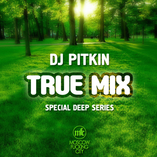 DJ PitkiN - True Mix '13 (MFC Exclusive) (01/03/2013)